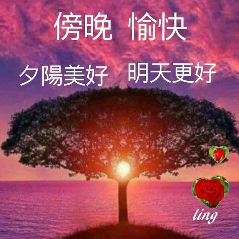 午安圖下載